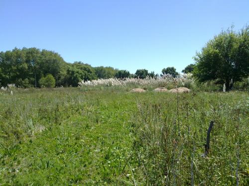 Vendo un terreno de 650 m2 en Costa del Este en U$S 20000. Listo para escriturar.