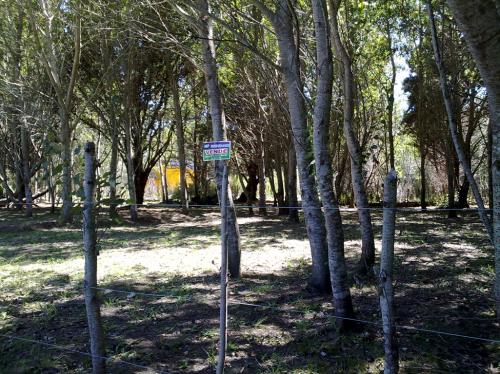 Ideal para inversionistas. Dueño directo vende 4 terrenos