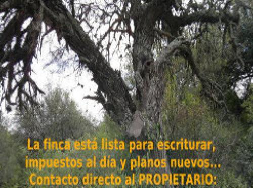 Campo ubicado en Tucumán, Trancas,LIQUIDO