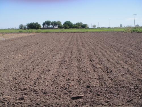 Venta finca lavalle Las Violetas