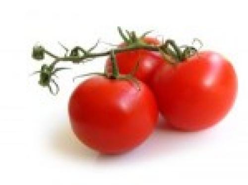 Traspaso nave tomates triturados Azeitunas en conservas en Mza.