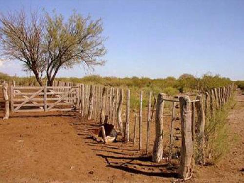 CAMPOS EN VENTA OPORTUNIDAD