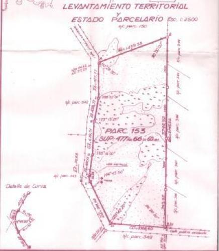 VENDO CAMPO DE 487 HECTAREAS EN CHACO