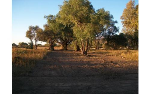 Loteo Solares de Nogolí, San Luis. Lugar de bellezas naturales y tranquilidad.