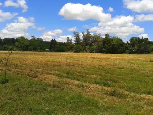 Particular vende campo