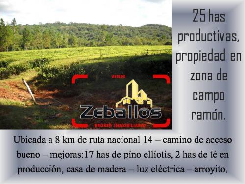 Se vende 25 has, Propiedad Productiva.
