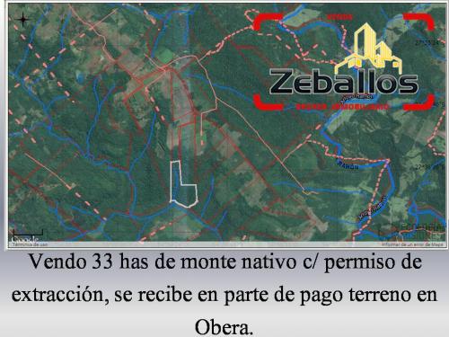 Vendo 33 has de Monte Nativo en Panambi