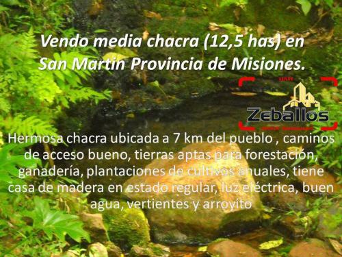 vendo media chacra 12.5 has en san martin