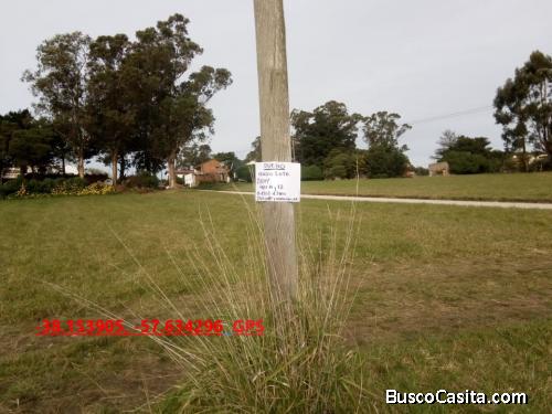 TERRENO EN MAR DEL PLATA  BARRIO  PLAYA  LOS LOBOS  A  6 CUADRAS DEL MAR  197 M2