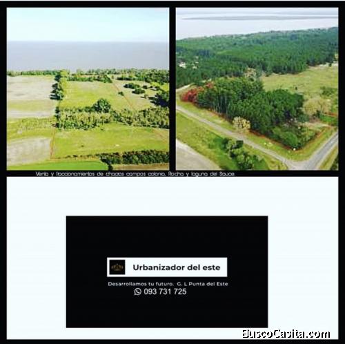 Vendo terrenos y chacras en Maldonado ,punta ballena ,Rocha ,y colonia 