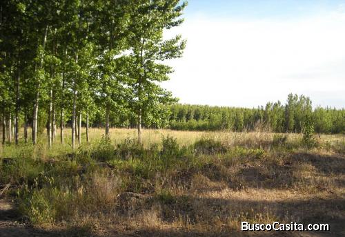 Vaca Muerta- Dueño directo vende lote listo para escriturar y construir. Planos aprobados!