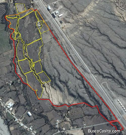 Finca apta para cultivo de  nogales, pistacho,vid, frutales y hortalizas