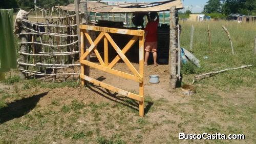 vendo 2 terrenos