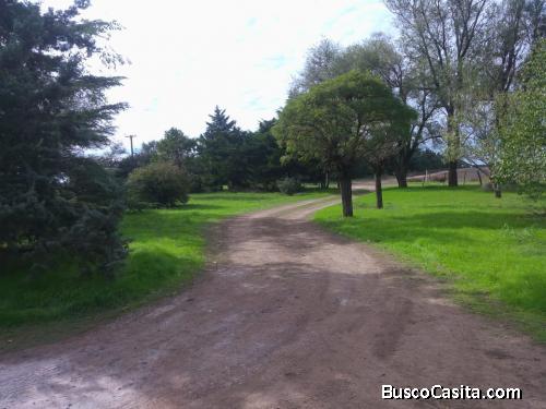 Campo a la venta de 590 hectareas
