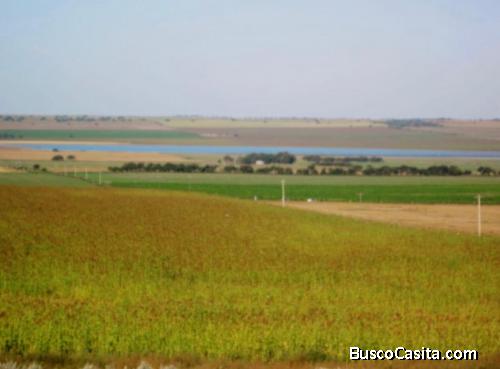 CAMPO DE 730 HECTAREAS EN WINIFREDA, PROVINCIA DE LA PAMPA