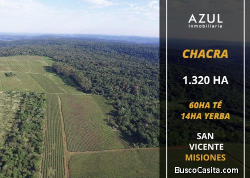 VENTA DE CHACRA EN LA LOCALIDAD DE SAN VICENTE