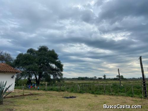 Venta campo cerca Clorinda (Nueva Asunción)