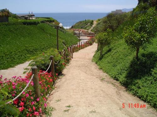 TERRENO URBANIZADO 2450 M2 COSTA QUILEN - UF1900