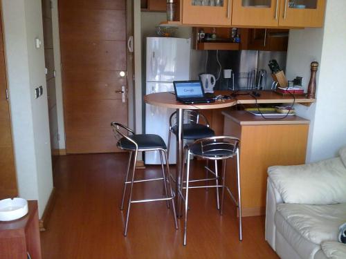 ARRIENDO DEPARTAMENTOS DIARIOS EN PROVIDENCIA.