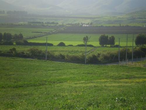 Vendo Parcela de Agrado en La Serena ( Condominio ) $ 18.000.000.-