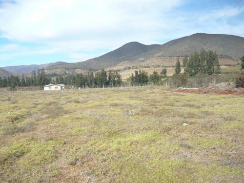 Parcela de Agrado en Quebrada de Talca ( La Serena )  $ 16.000.000.-