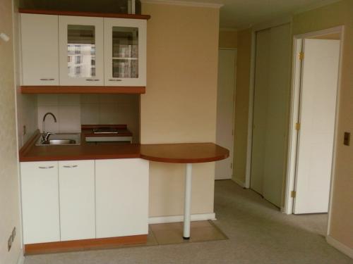 Arriendo departamento Santiago