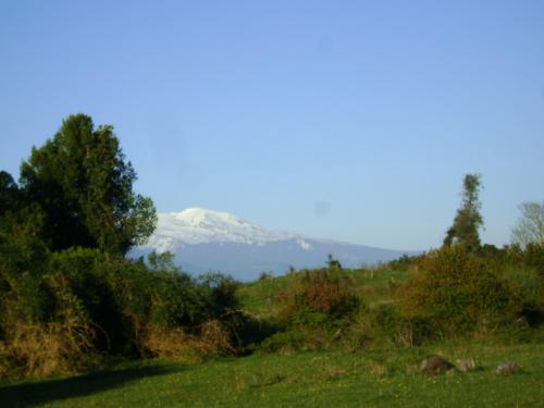 Parcela Puyehue 8.900 m2