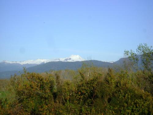 Parcela Puyehue 