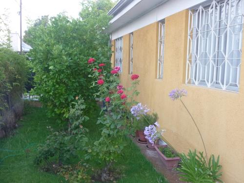 Vende casa 1 piso solida aislada, Avda. Walker Martínez La Florida 