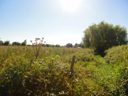 Terreno camino Las Rastras, sector Purísima, Talca-Chile