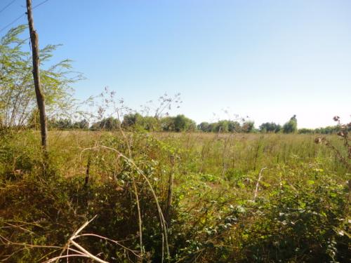 Terreno caminos Las Rastras, sector Purísima, Talca-Chile