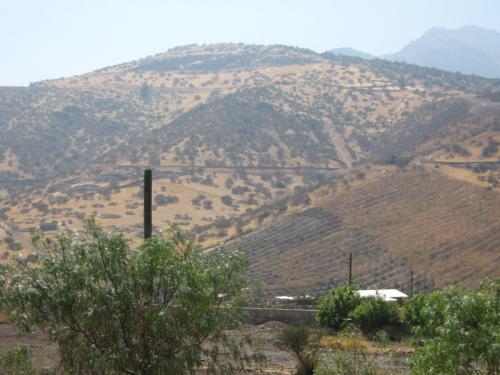 Parcela agrado 5.260 mts2 Fundo La Estrella, Llay- Llay