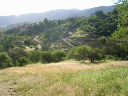 Vende parcela 8.000 mts Los Bosques de Miraflores, Curacaví