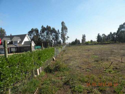 PARCELA DE 5000 METROS EN SANTO DOMINGO