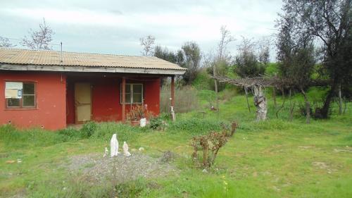 Hermosa parcela con cabaña de 5000  mts 