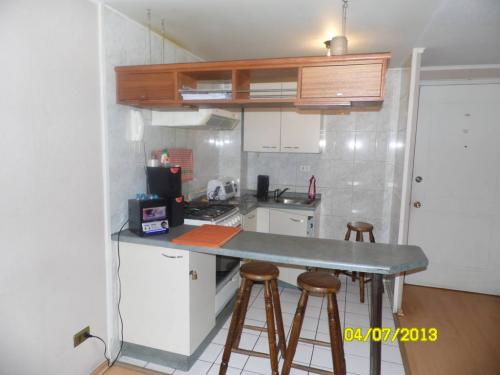 ARRIENDO DEPARTAMENTO EN SANTIAGO POR DIAS O SEMANA