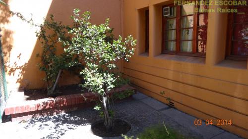 FERNANDEZ ESCOBAR Bienes Raices Arrienda Restaurante Local Comercial Oficina Empresa Los Andes