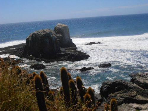 Venta Casa con terreno Punta de Lobos Pichilemu