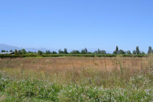 Vendo  Sitio Nro. 11,  5000 mts cuadrados