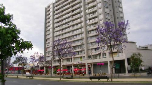 AD018 ARRIENDO DEPARTAMENTO SIN AMOBLAR AÑO CORRIDO