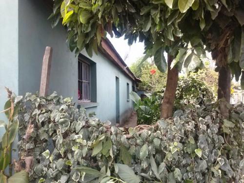 CASA PENSIÓN RESTAURANT SAN CARLOS 250/450M2 $55.000.000 