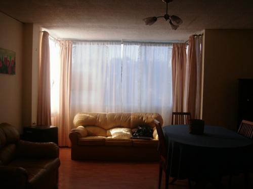 DEPARTAMENTO CENTRAL AMOBLADO $58.500.000 CONCEPCIÓN