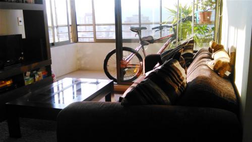 VD190 VENTA DEPARTAMENTO CALLE ÁLVARES - VIÑA DEL MAR.