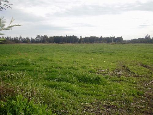 PRODUCTIVO FUNDO AGRÍCOLA Y GANADERO