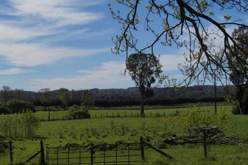 Parcela De Agrado, Purranque, Osorno $23.000.000