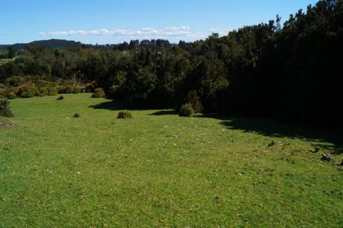 Hermosa Parcela, Campo de 30.000 m2 Pargua $63.000.000.- 
