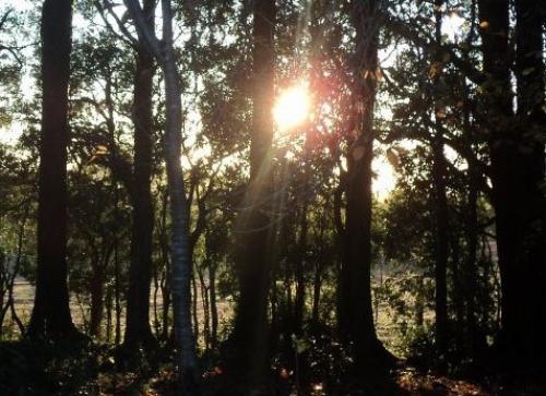 Venta de Terreno en sector Puntra (cruce)