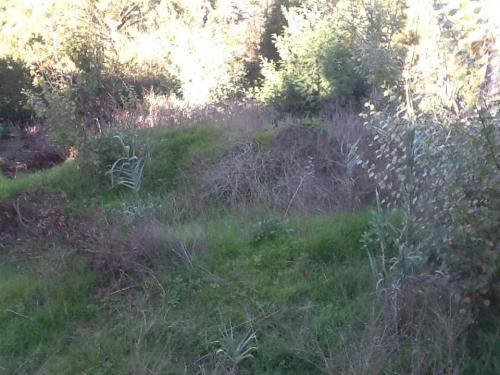 Terreno AGUA SANTA oportunidad 150mt2