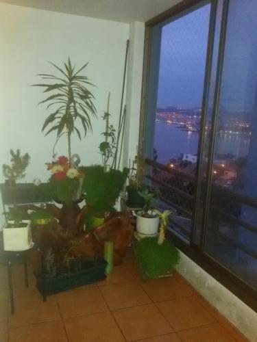 VD257 VENTA DEPARTAMENTO, RECREO - VIÑA DEL MAR