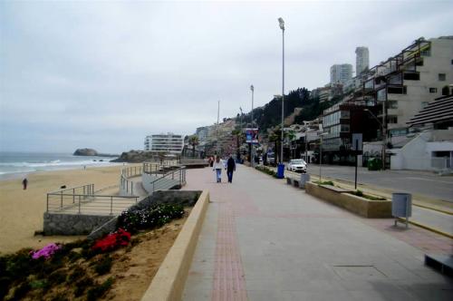 VD300 AMPLIO DEPARTAMENTO -VISTA AL MAR REÑACA